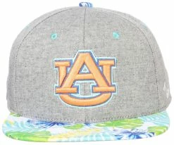 Baseball Caps & Hats Shop -Baseball Caps & Hats Shop aubpbw0010 2 34800.1667489039.1280.1280