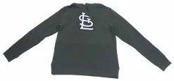 Fanatics Men's MLB St Louis Cardinals Tek Patch Pullover Hoodie Sweater – Gray